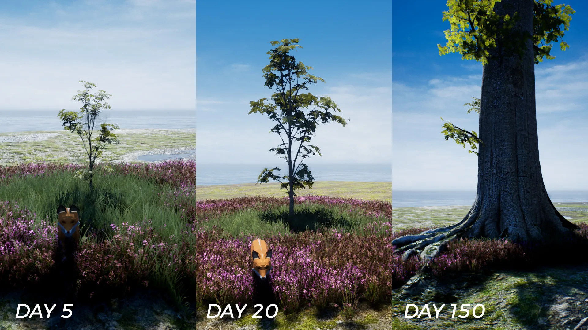 PLAYNE : The Meditation Game: скриншот 3