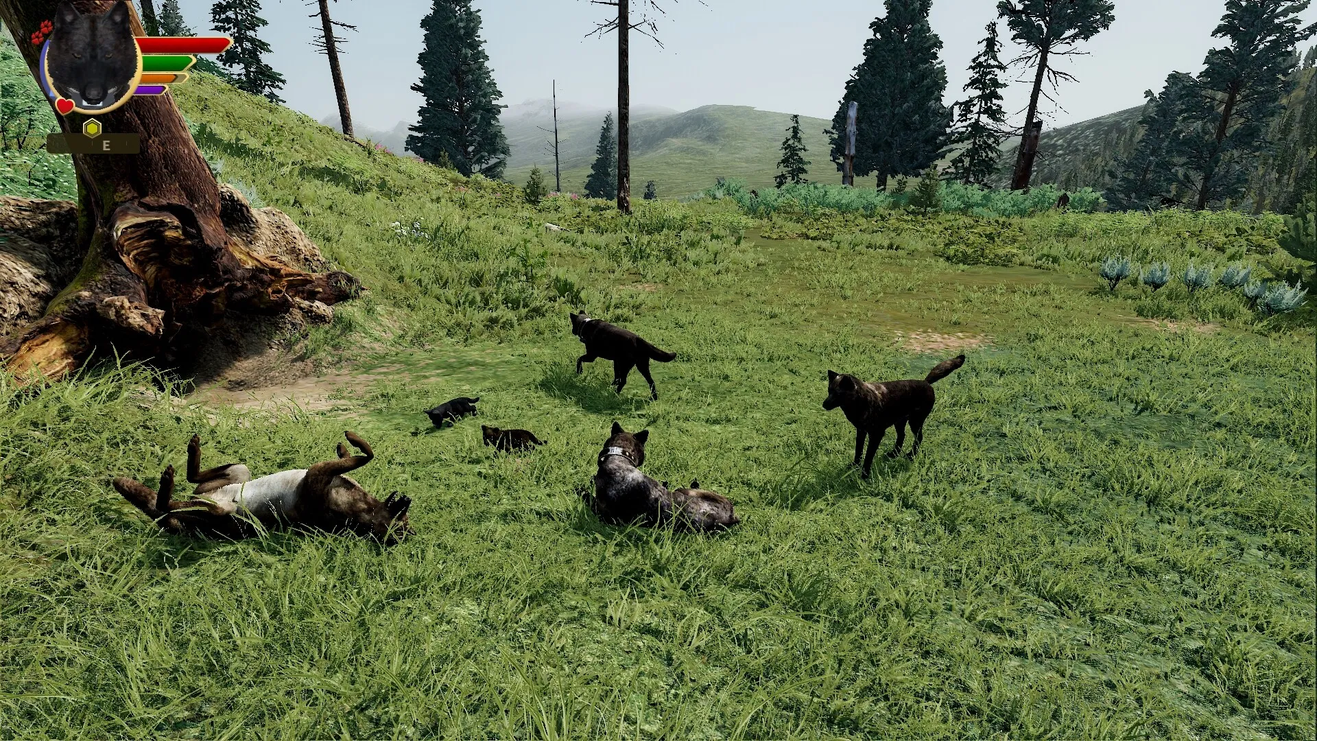 WolfQuest: Anniversary Edition: скриншот 6