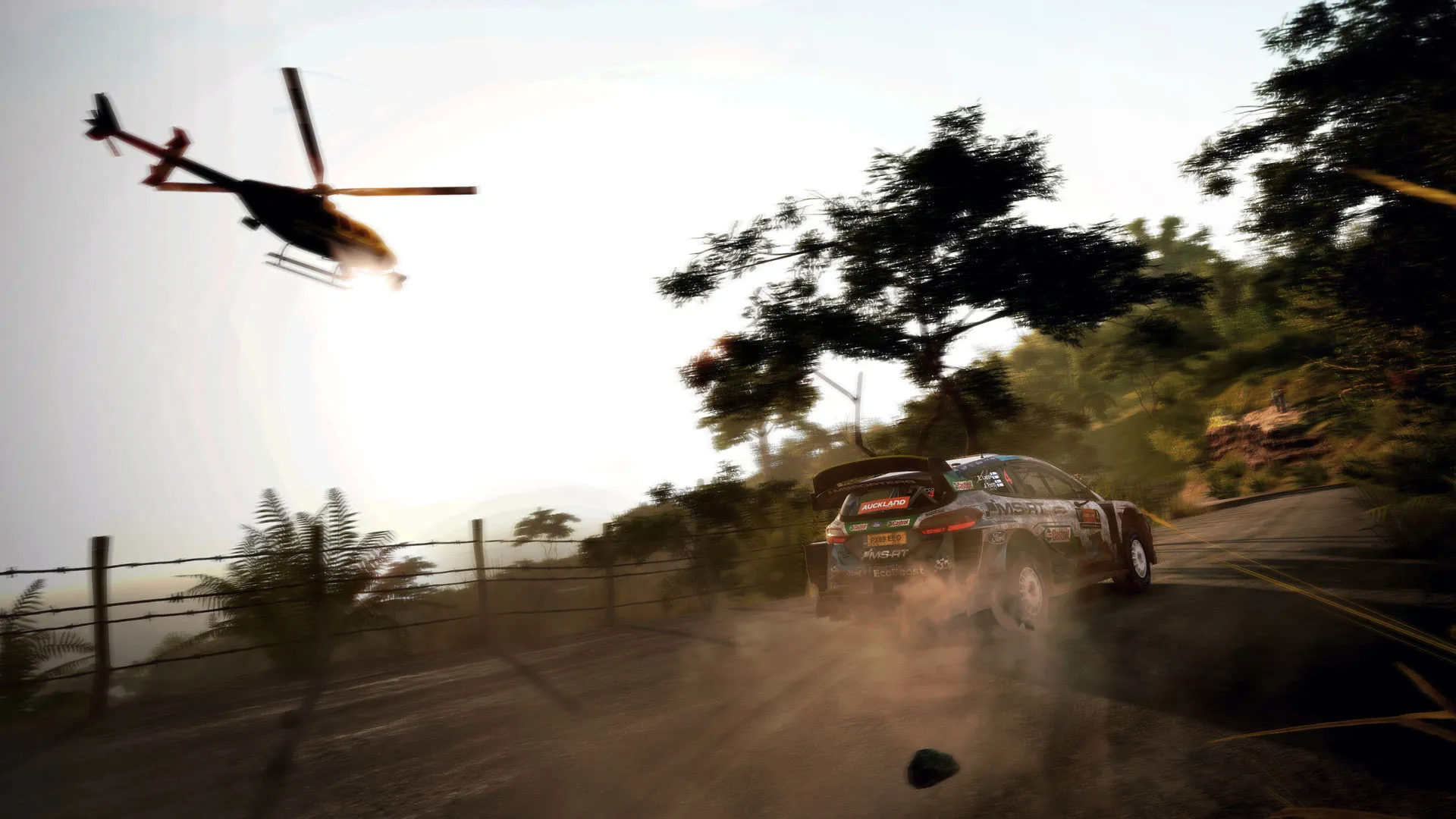 WRC 9 FIA World Rally Championship: скриншот 2