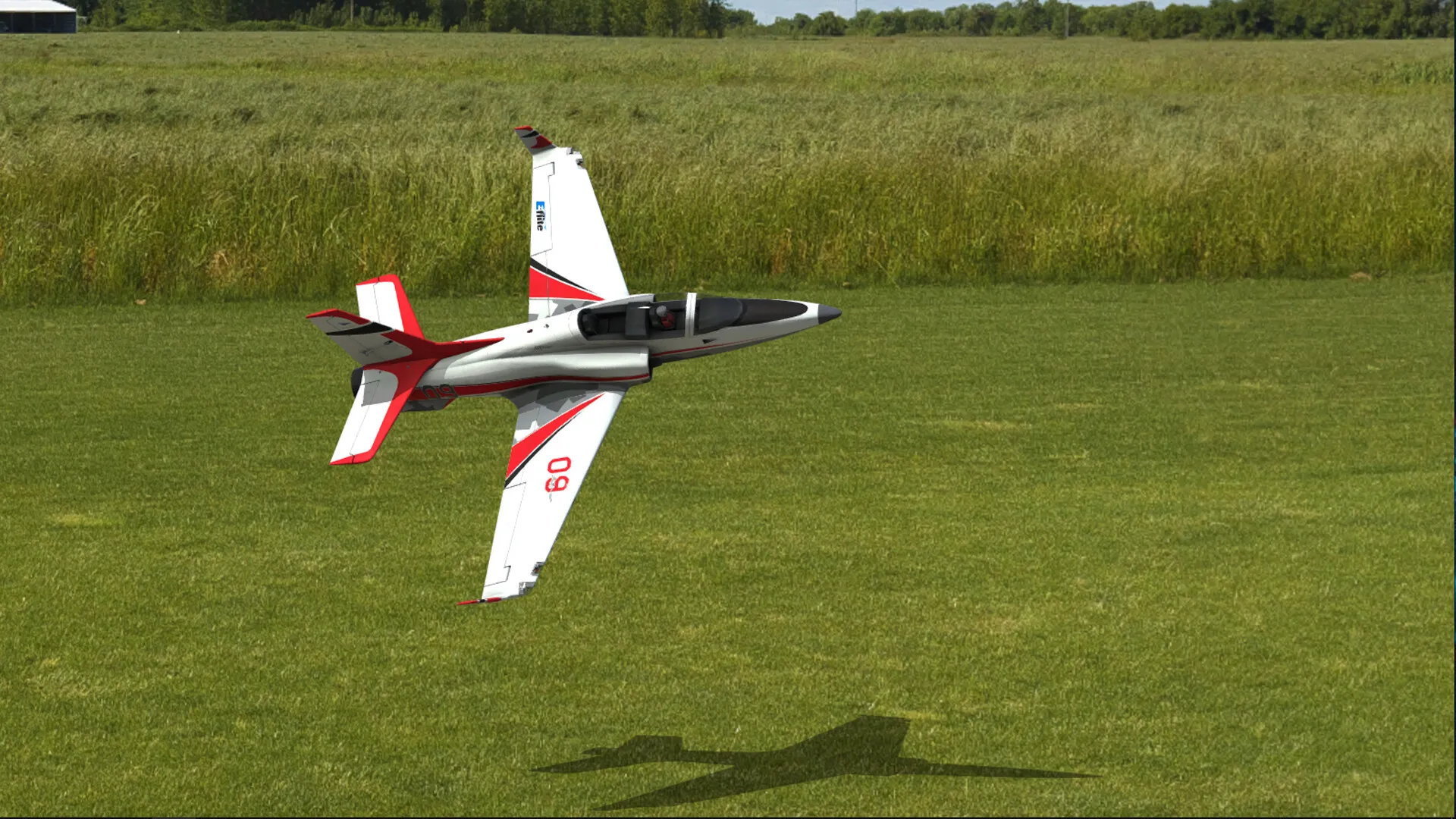 RealFlight Evolution: скриншот 5