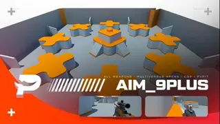 aim_9plus