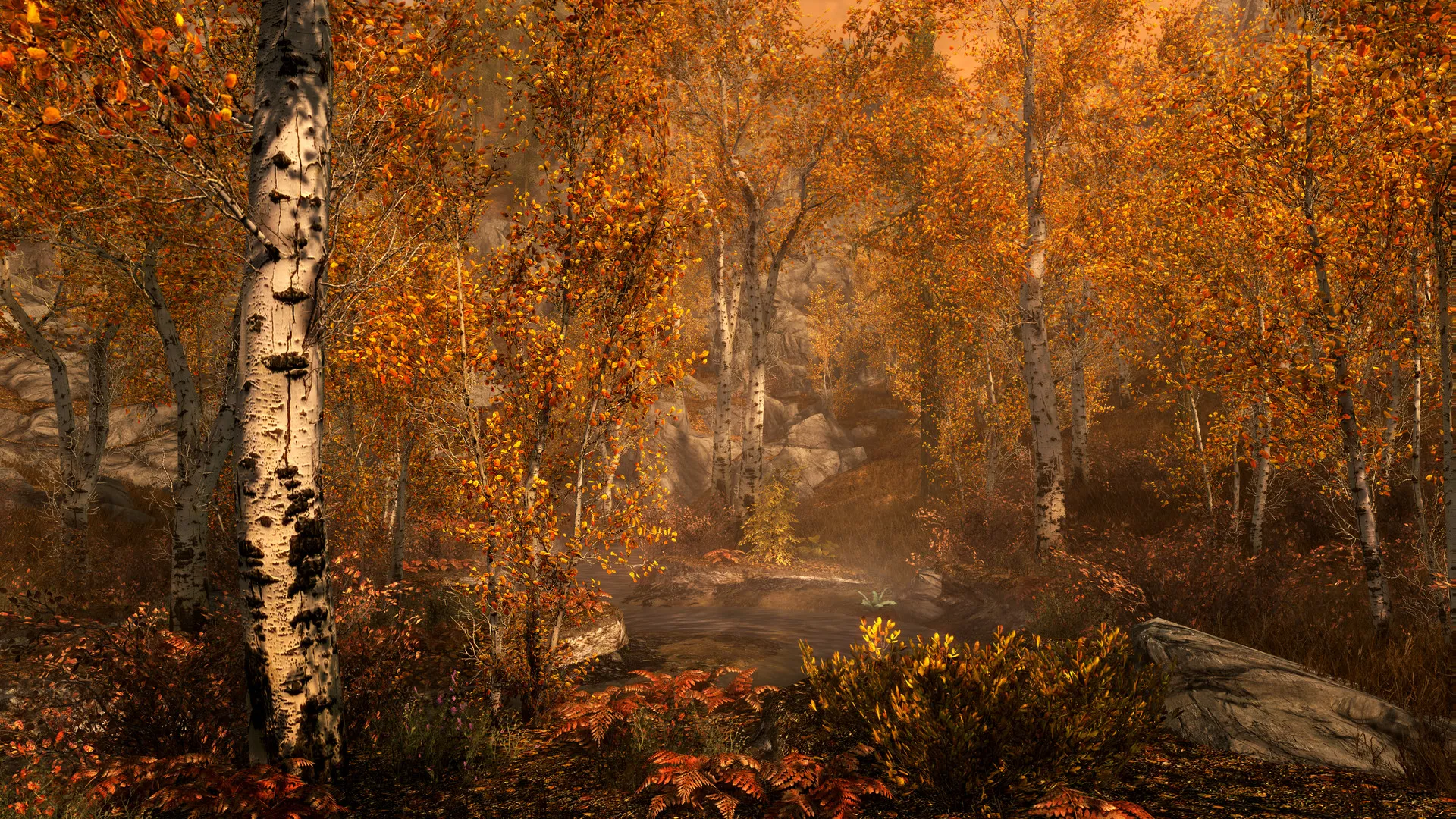 The Elder Scrolls V: Skyrim Special Edition: скриншот 3