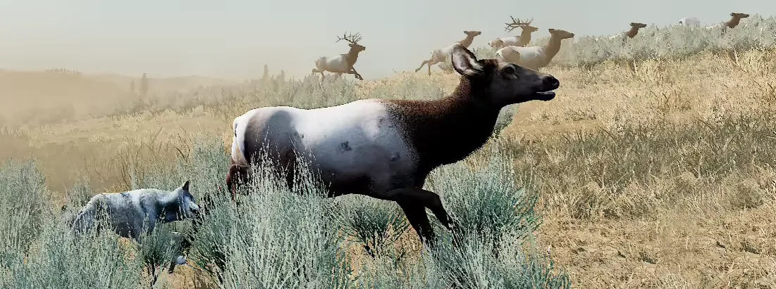 Wolf biting elk