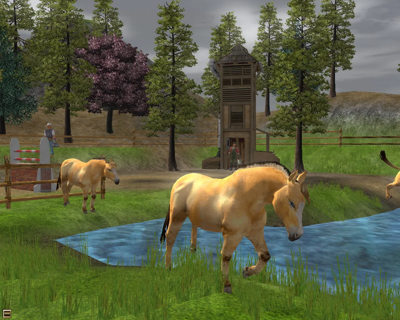 Wildlife Park 2 - Horses: скриншот 1