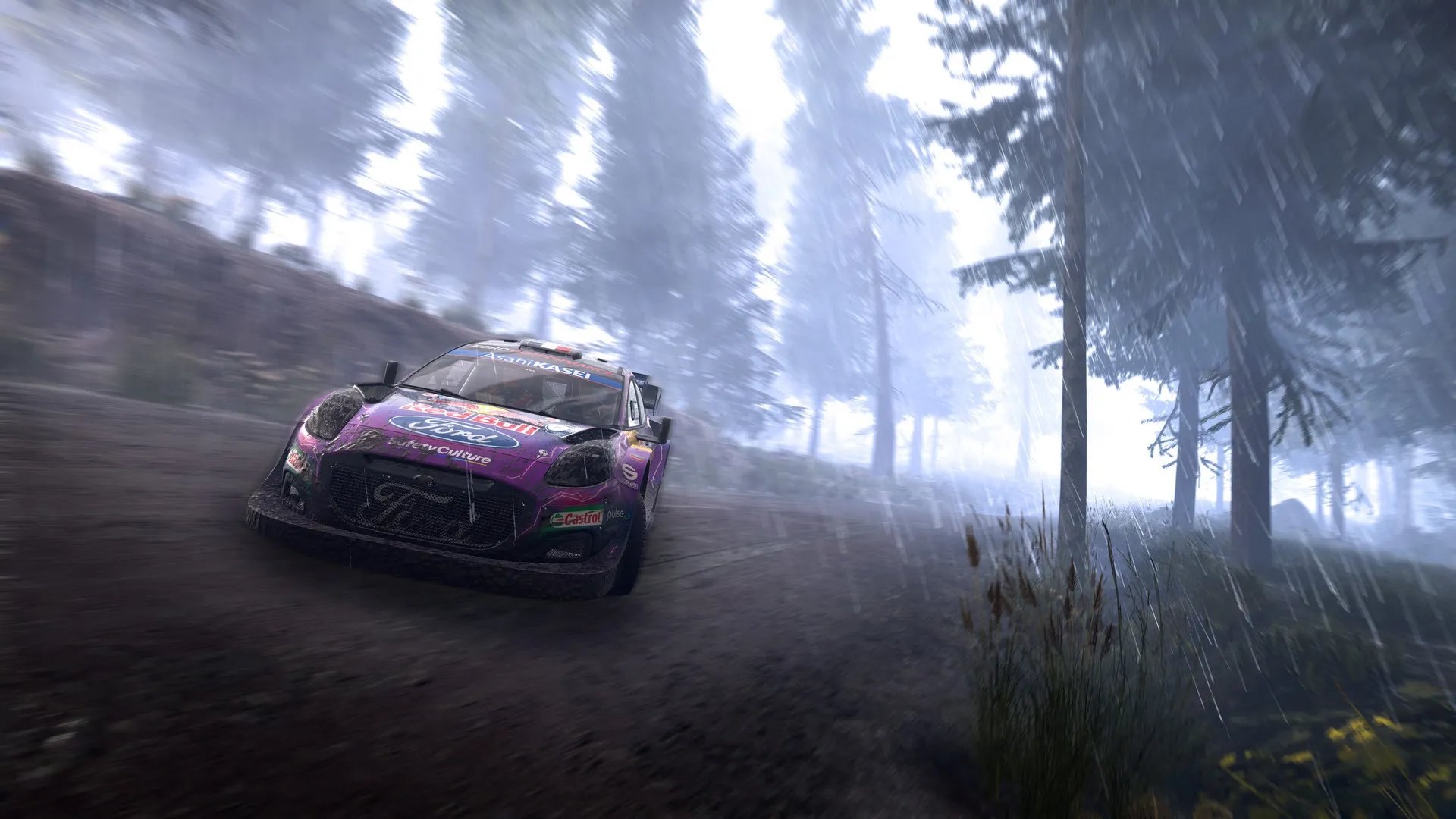 WRC Generations – The FIA WRC Official Game: скриншот 2