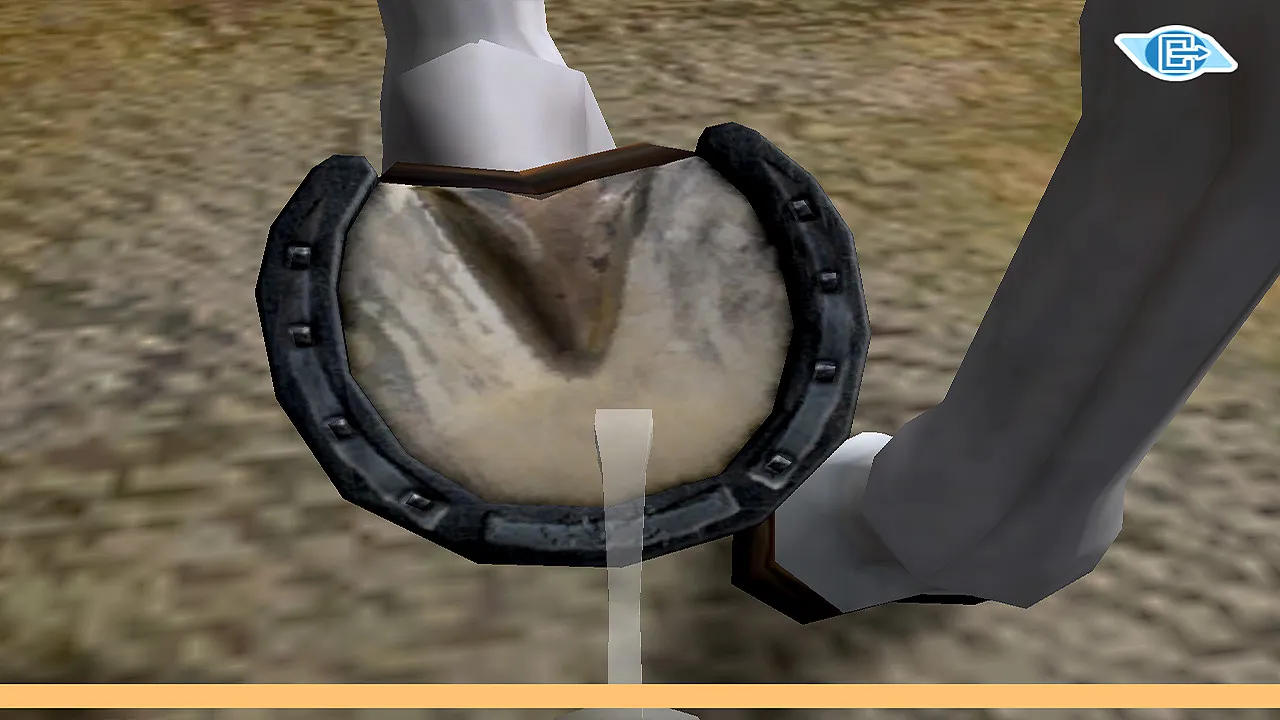 Riding Star - Horse Championship!: скриншот 8