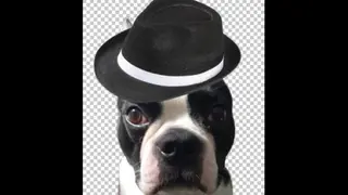 czdutyrice 01