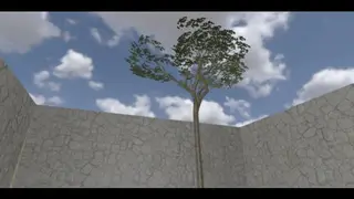 aztec 1v1