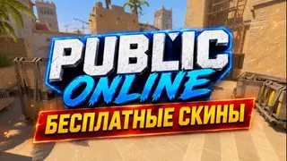 PUBLIC (ONLINE)