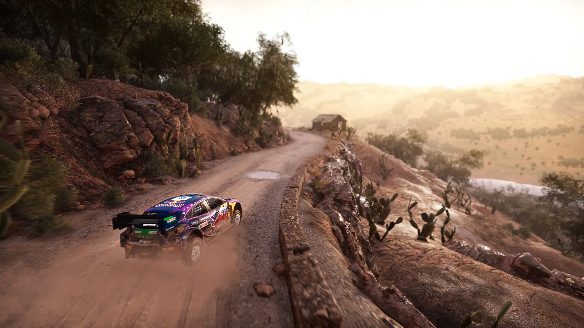 WRC Generations – The FIA WRC Official Game: скриншот 1