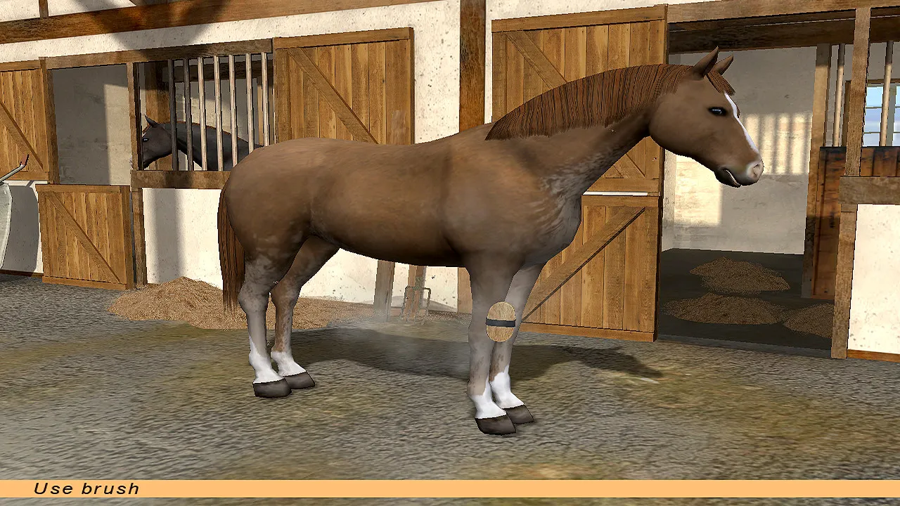 Riding Star - Horse Championship!: скриншот 7