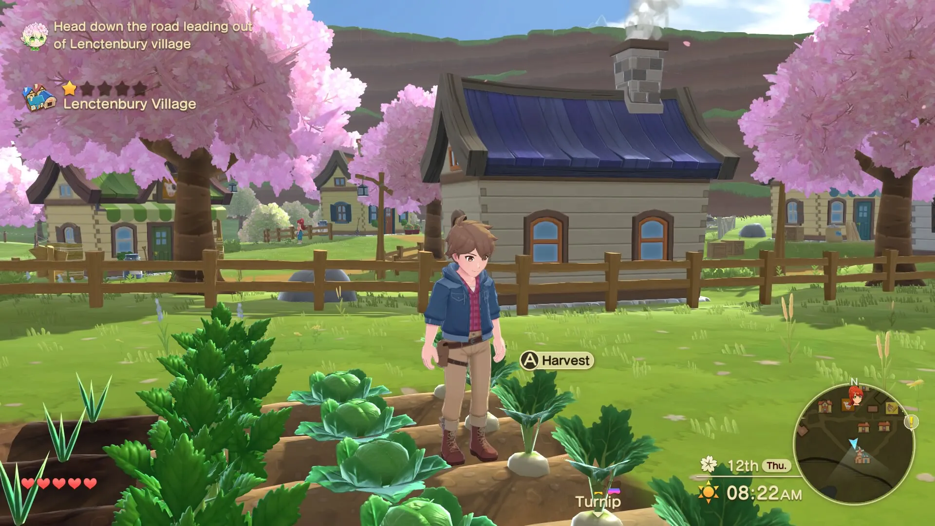 Harvest Moon: The Winds of Anthos: скриншот 1