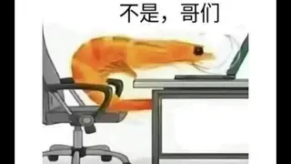model test