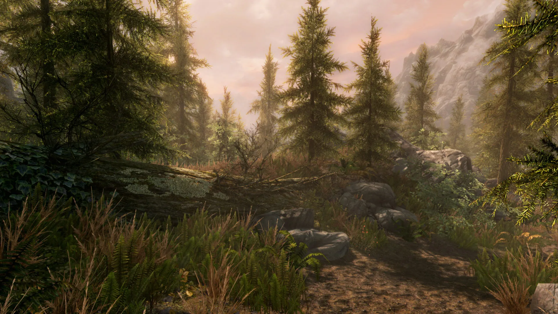 The Elder Scrolls V: Skyrim Special Edition: скриншот 7