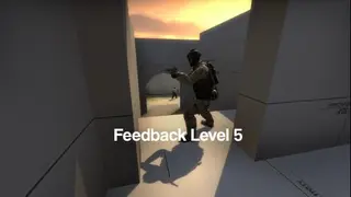 Feedback level 5