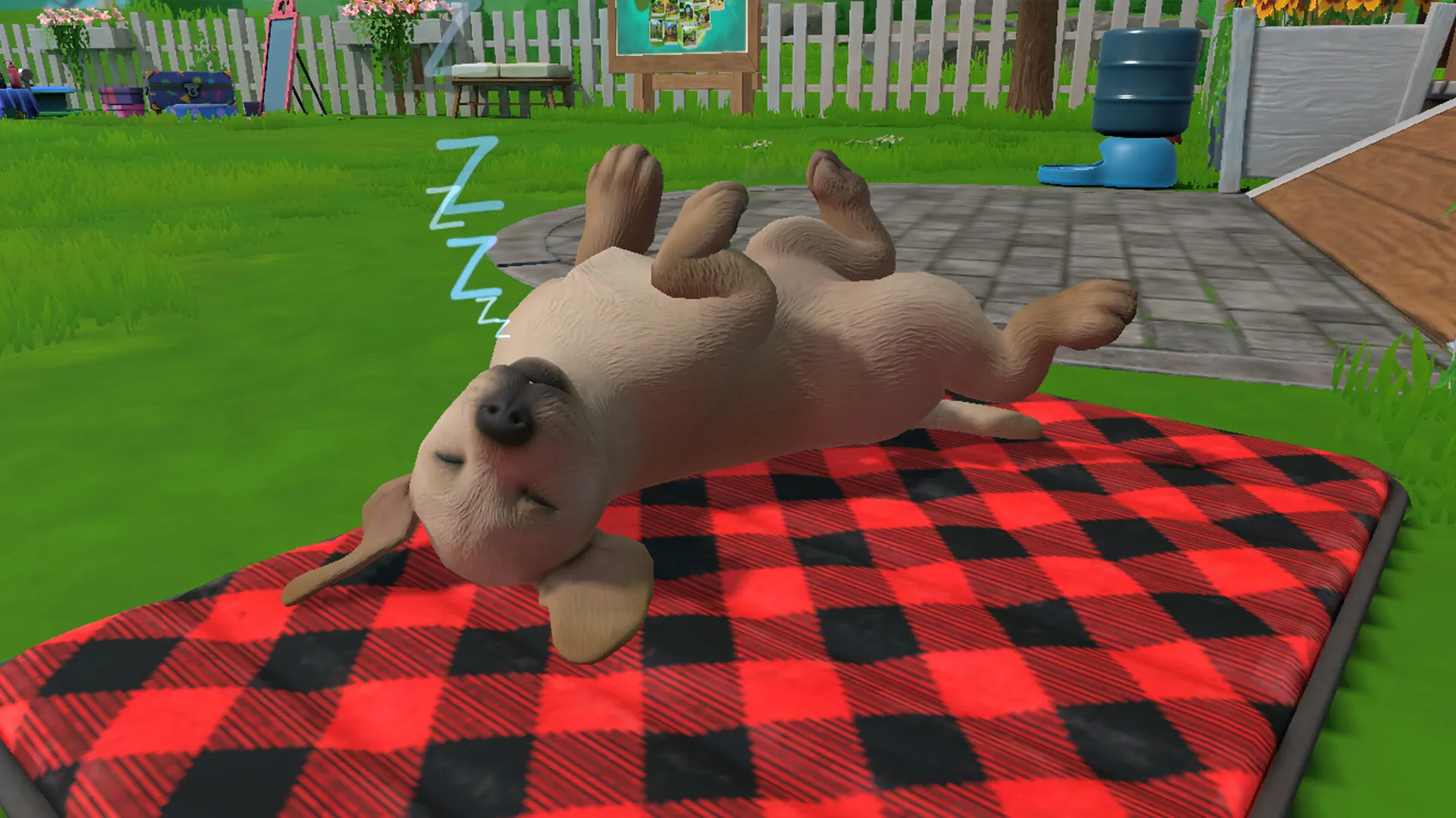 Little Friends: Puppy Island: скриншот 4