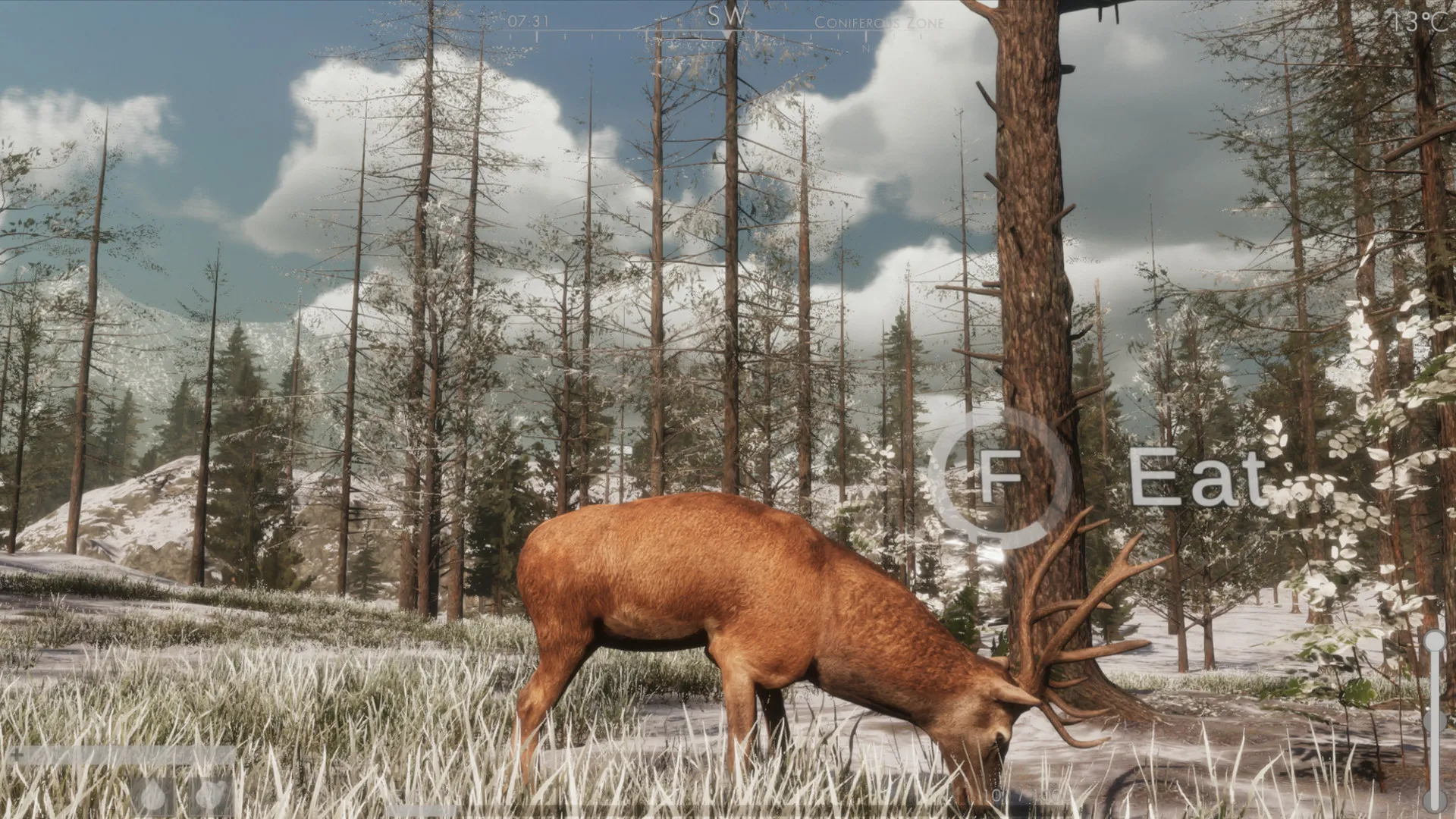The WILDS: скриншот 4