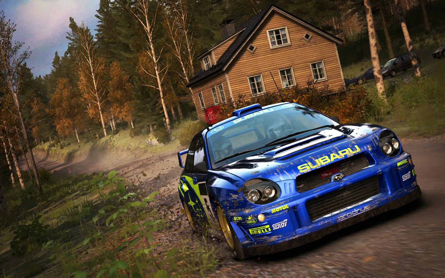 DiRT Rally: скриншот 5
