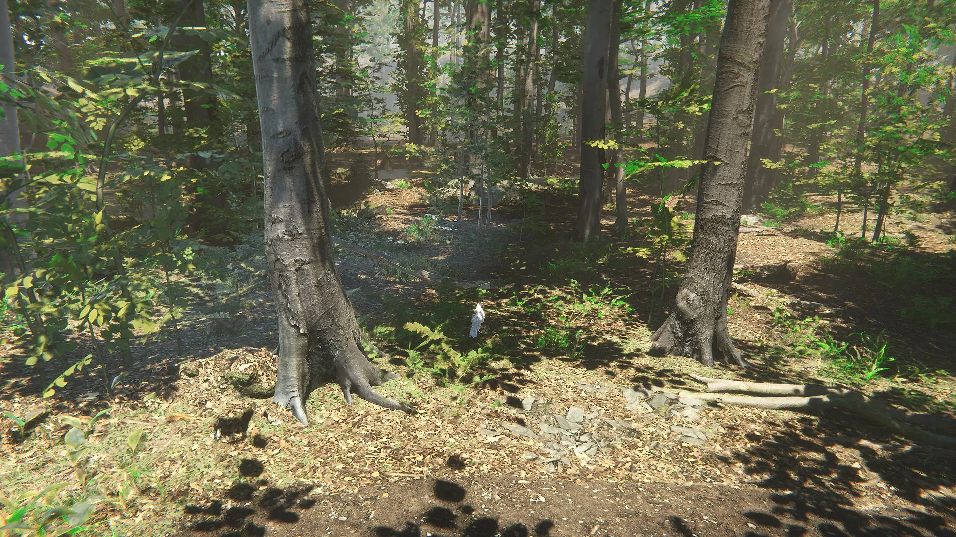 Bird: скриншот 1