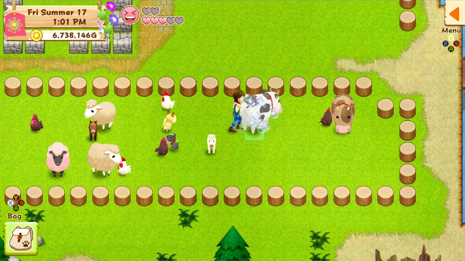 Harvest Moon: Light of Hope Special Edition: скриншот 4