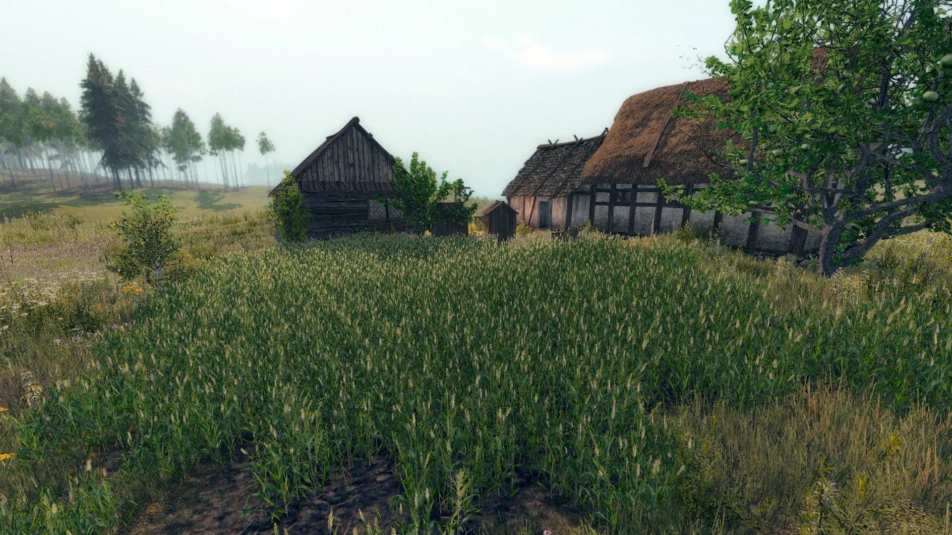 Life is Feudal: Your Own: скриншот 6