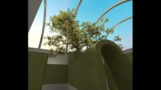 Bush