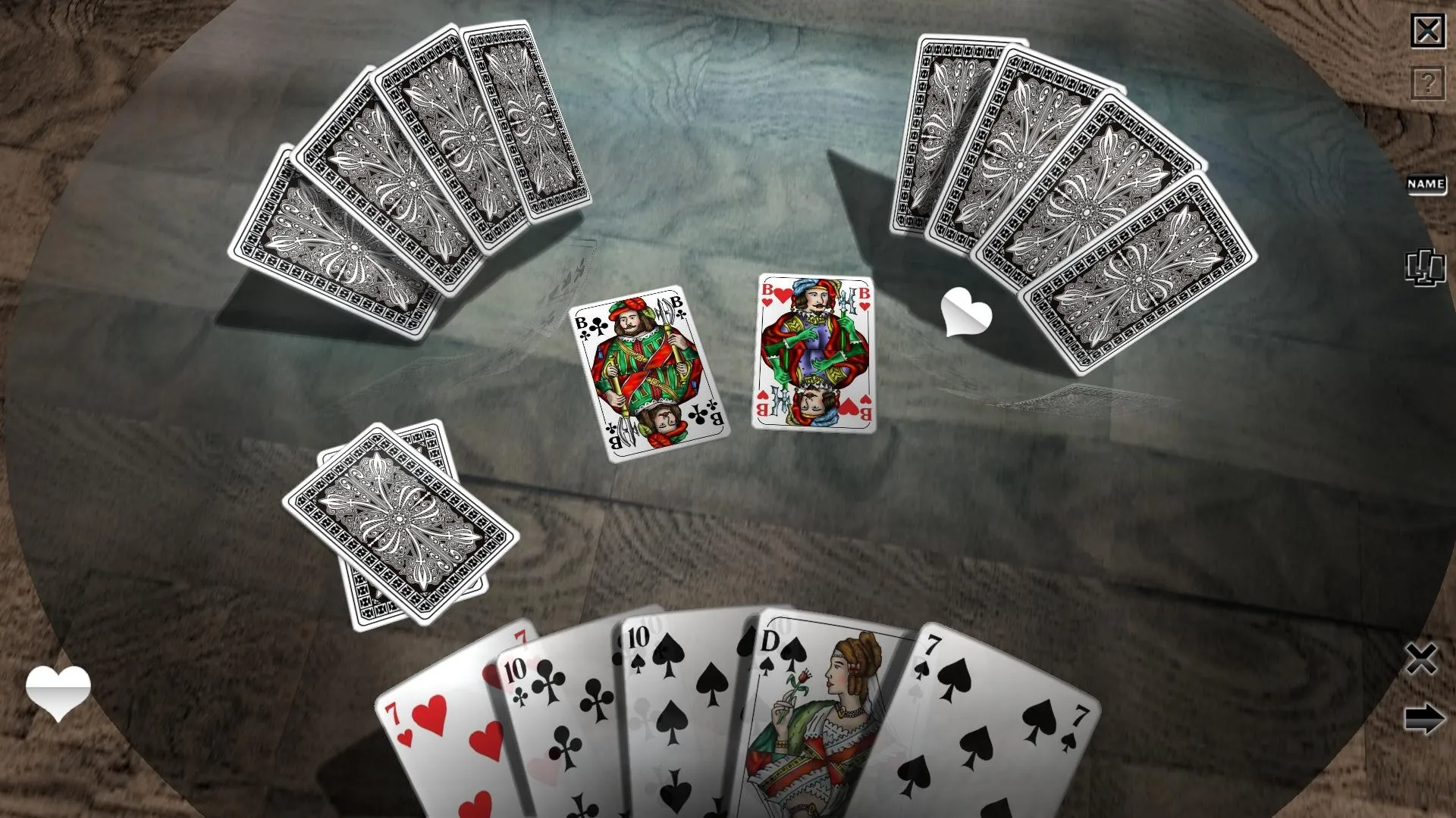 Skat 3D Premium: скриншот 3