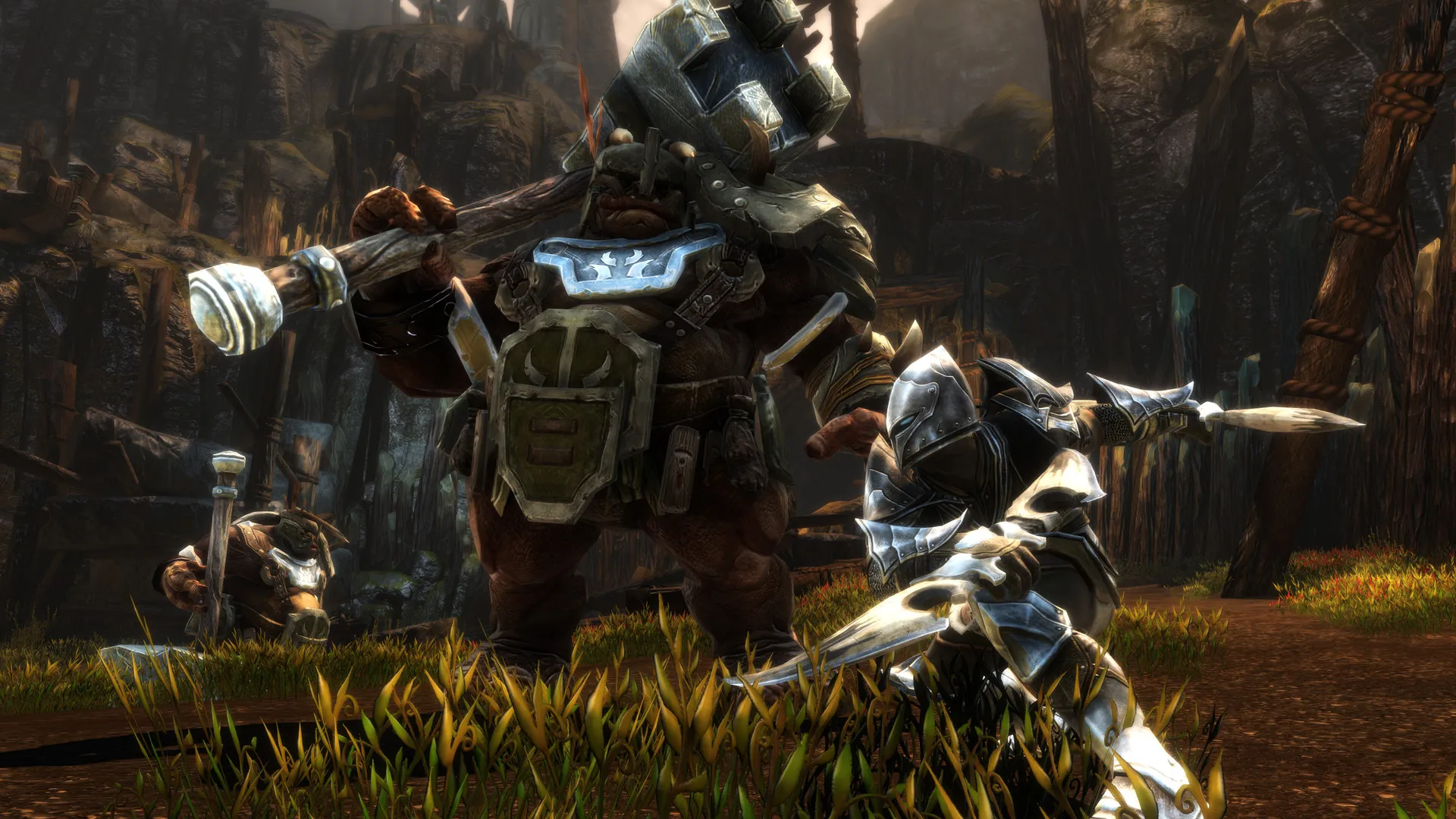 Kingdoms of Amalur: Re-Reckoning: скриншот 2