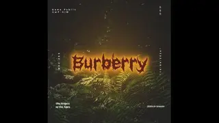 Burberry Pack