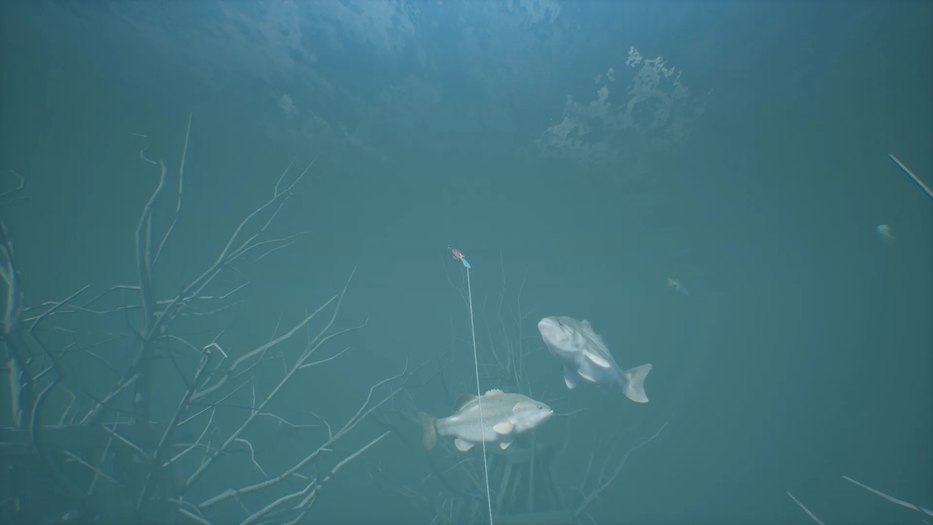 Bassmaster® Fishing: скриншот 8