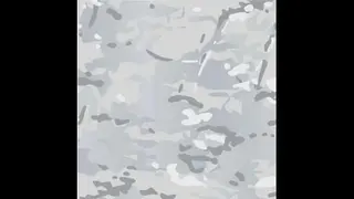 Polar (Work-In-Progress)