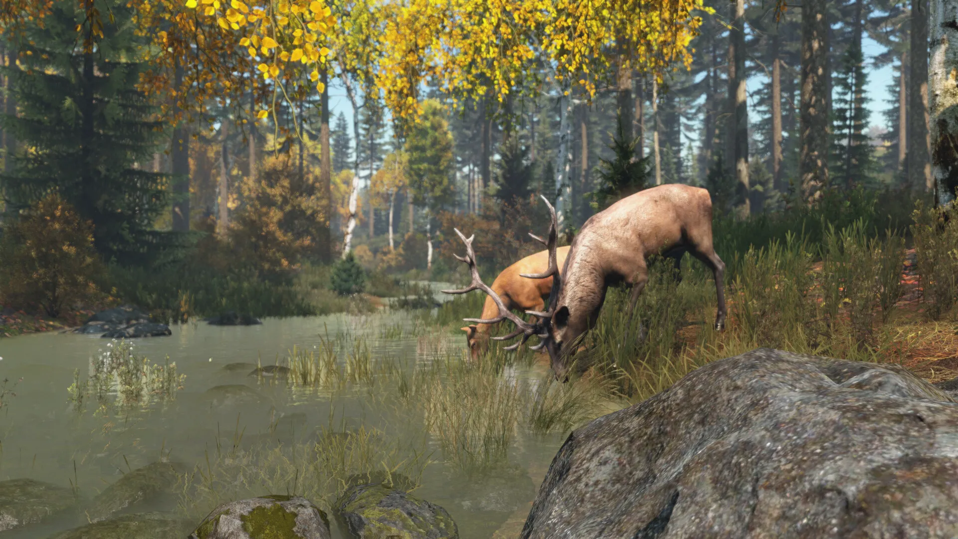 DayZ: скриншот 6