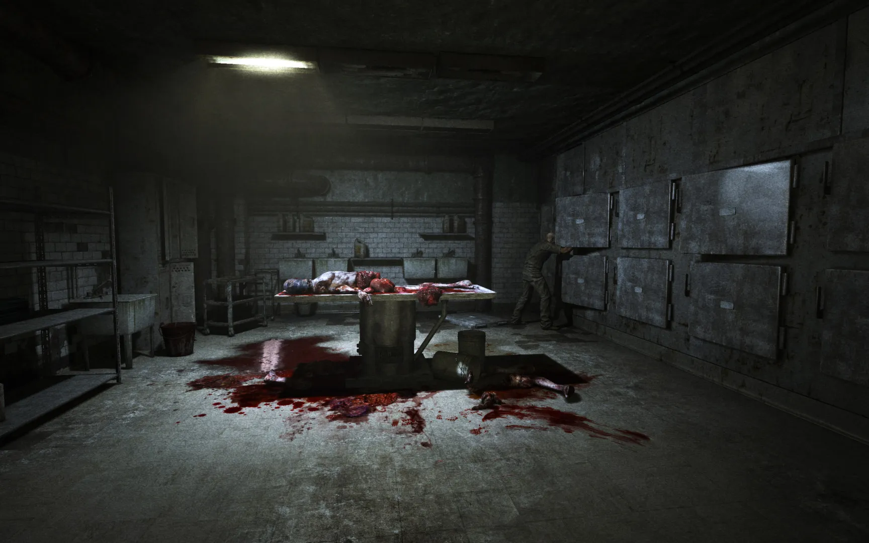 Outlast: скриншот 3