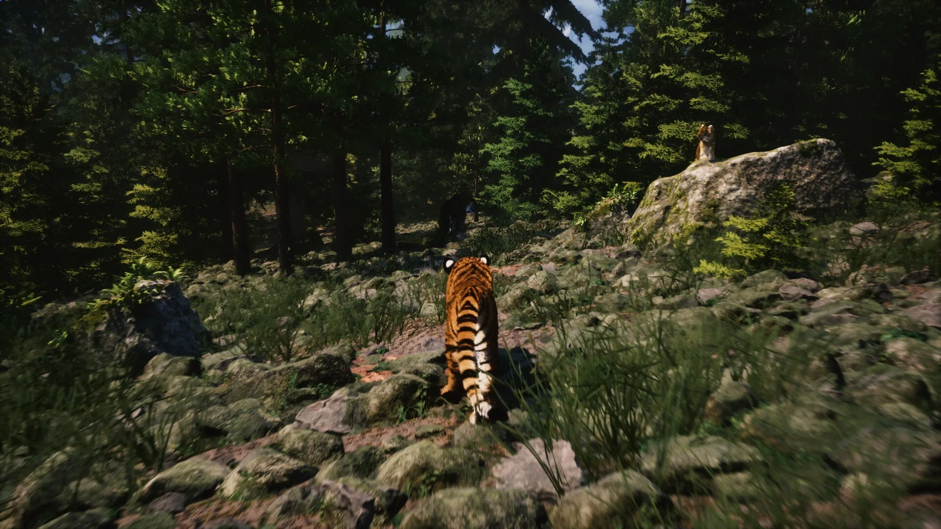 Untamed Kingdom: скриншот 1