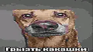 Dinozavrirki