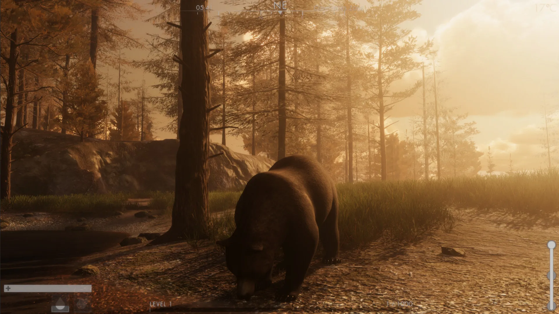 The WILDS: скриншот 2