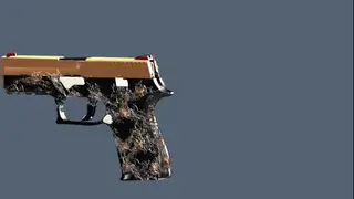 p250 chva de prata