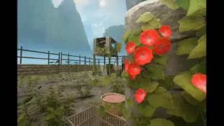 aim_flora