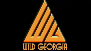 WildRanks