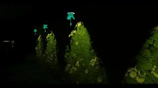 de_pif34