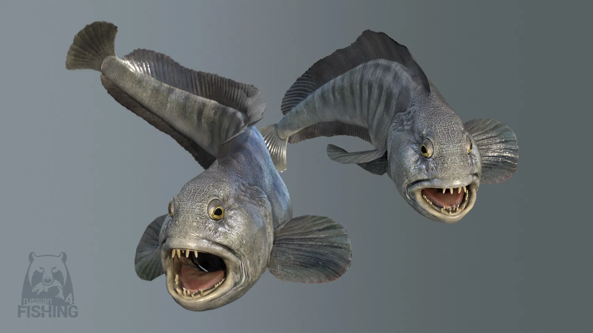 Russian Fishing 4: скриншот 5