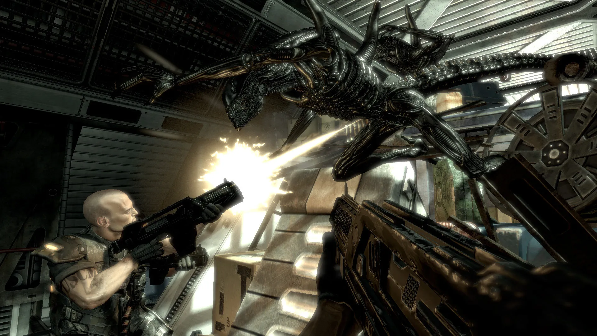Aliens vs. Predator™: скриншот 6