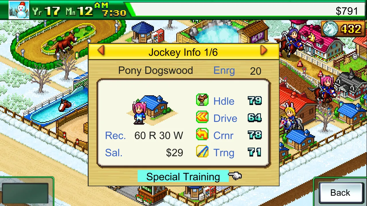 Pocket Stables: скриншот 5