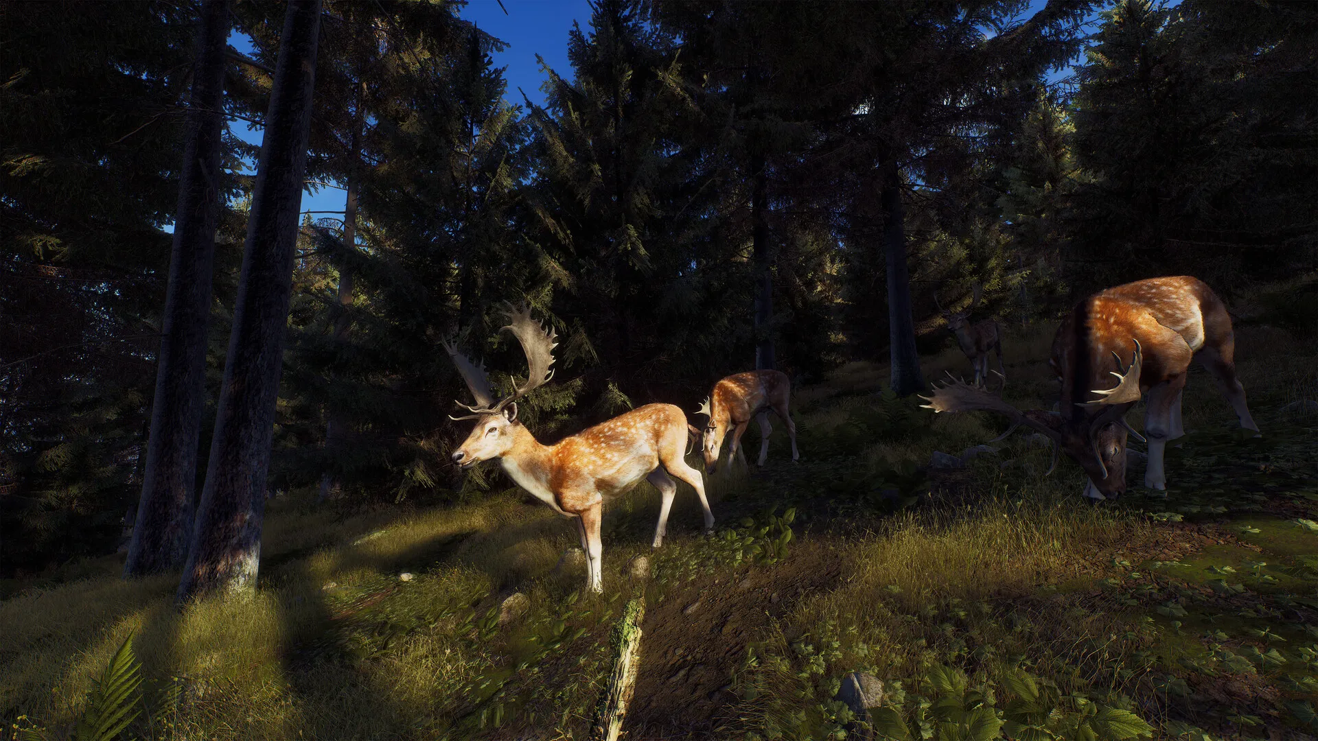 Way of the Hunter: скриншот 2