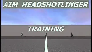 AIM HEADSHOTLINGER TRAINING