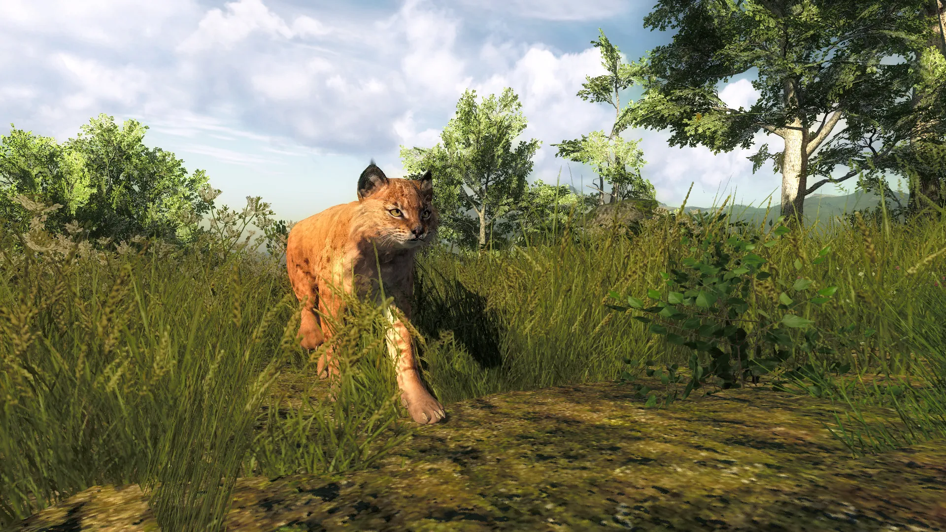 theHunter Classic: скриншот 8