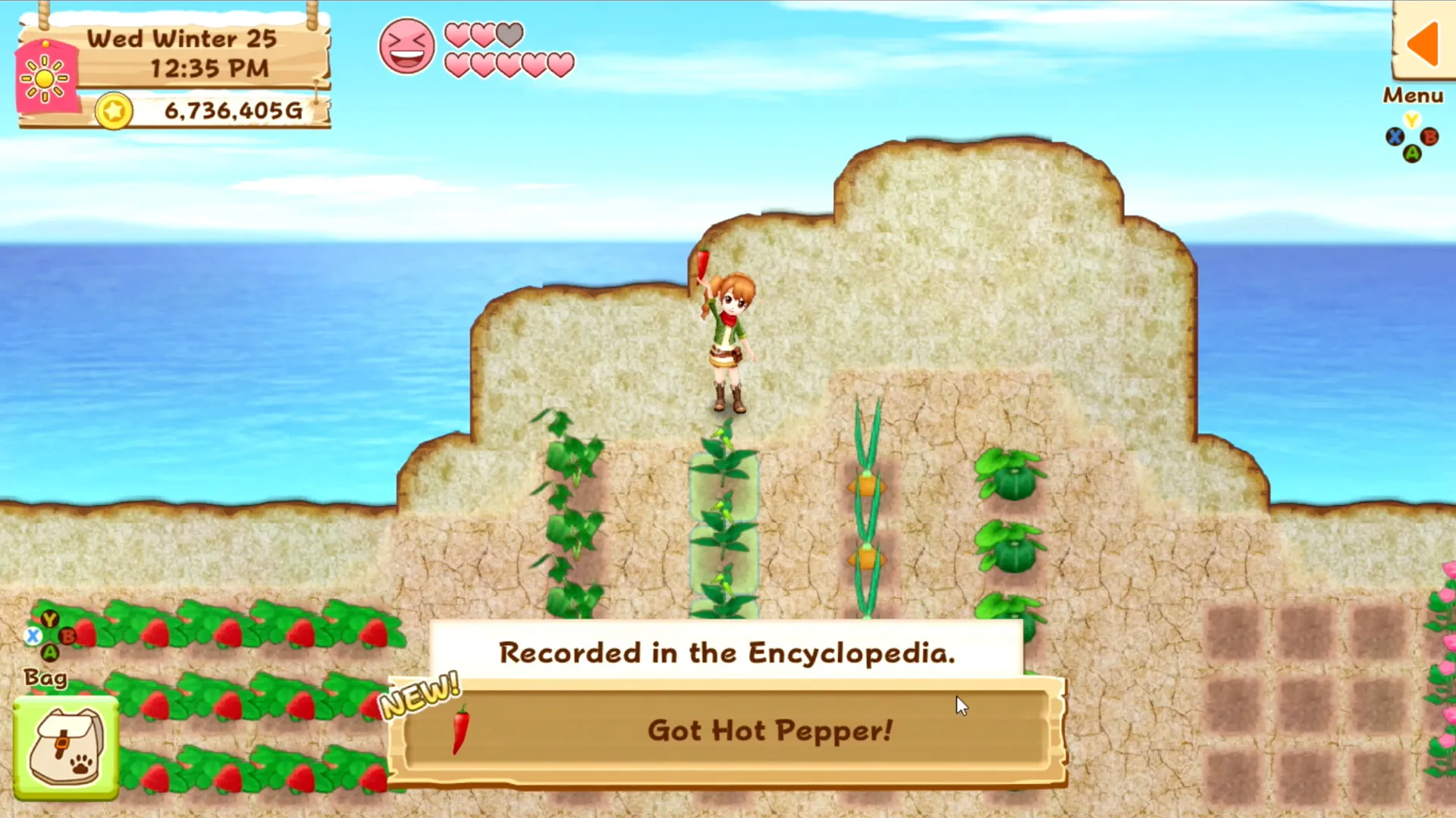 Harvest Moon: Light of Hope Special Edition: скриншот 2