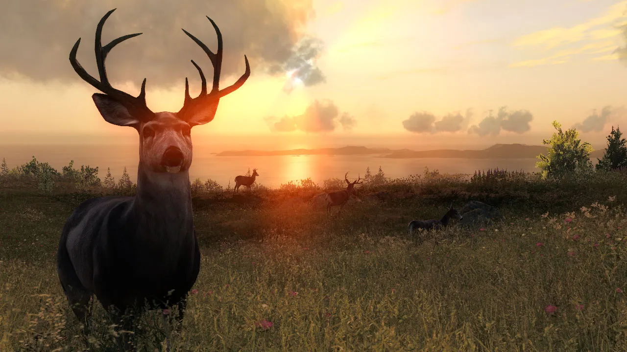 theHunter Classic: скриншот 3