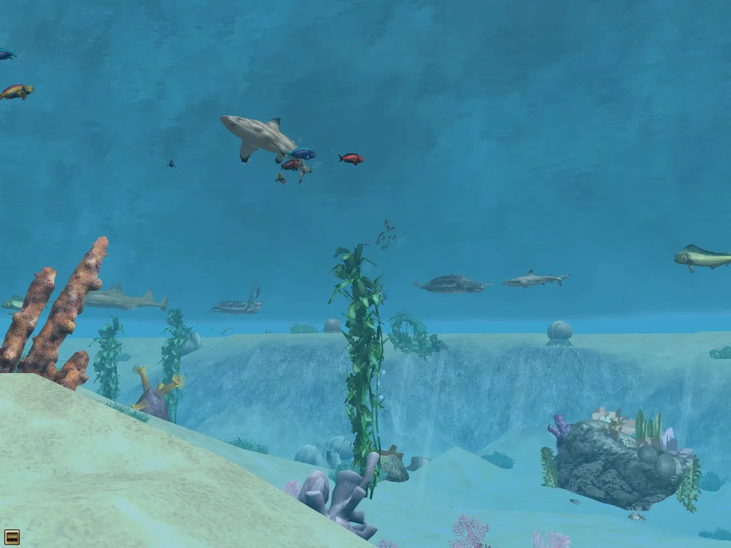 Wildlife Park 2 - Marine World: скриншот 6