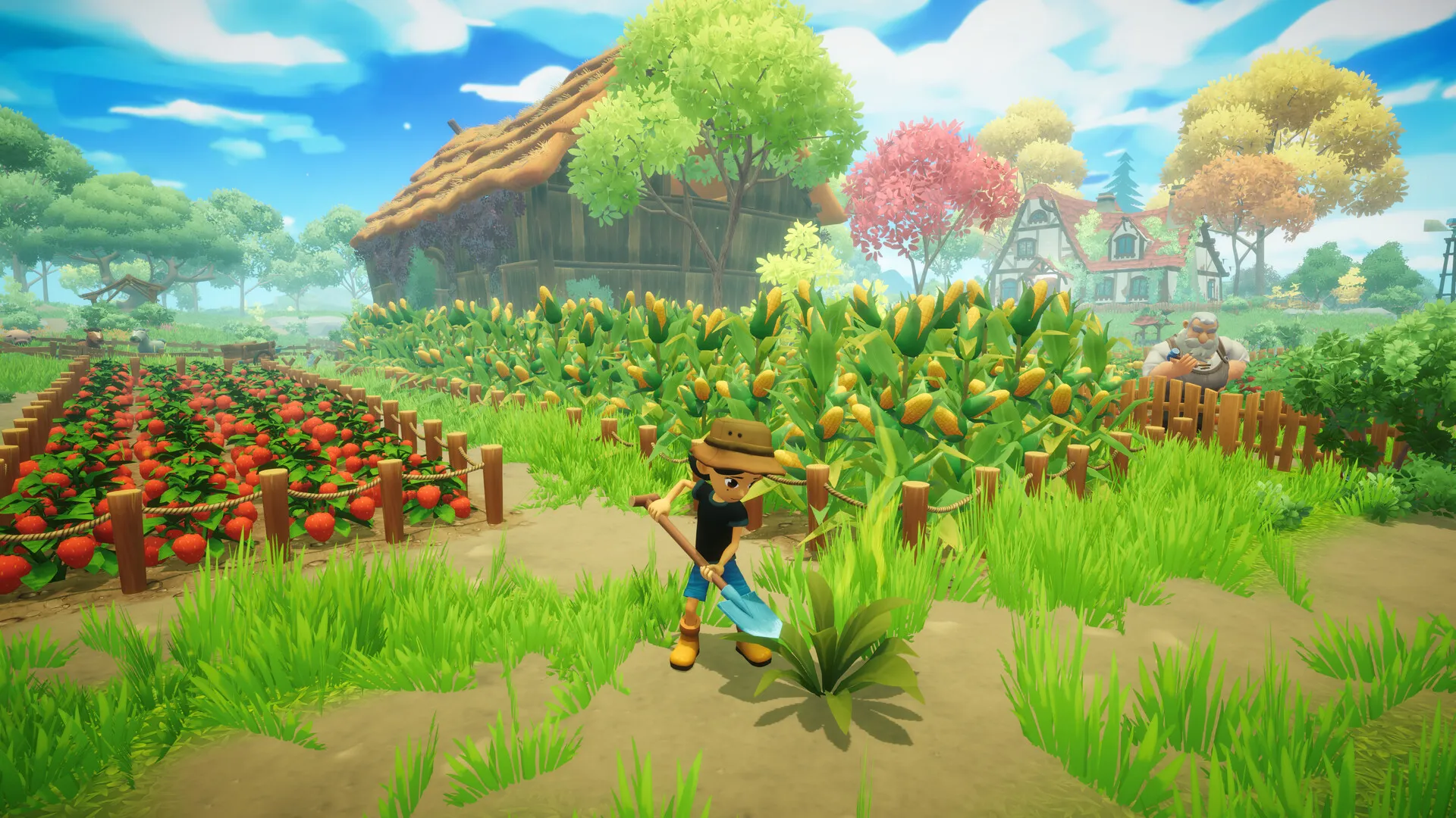 Everdream Valley: скриншот 3